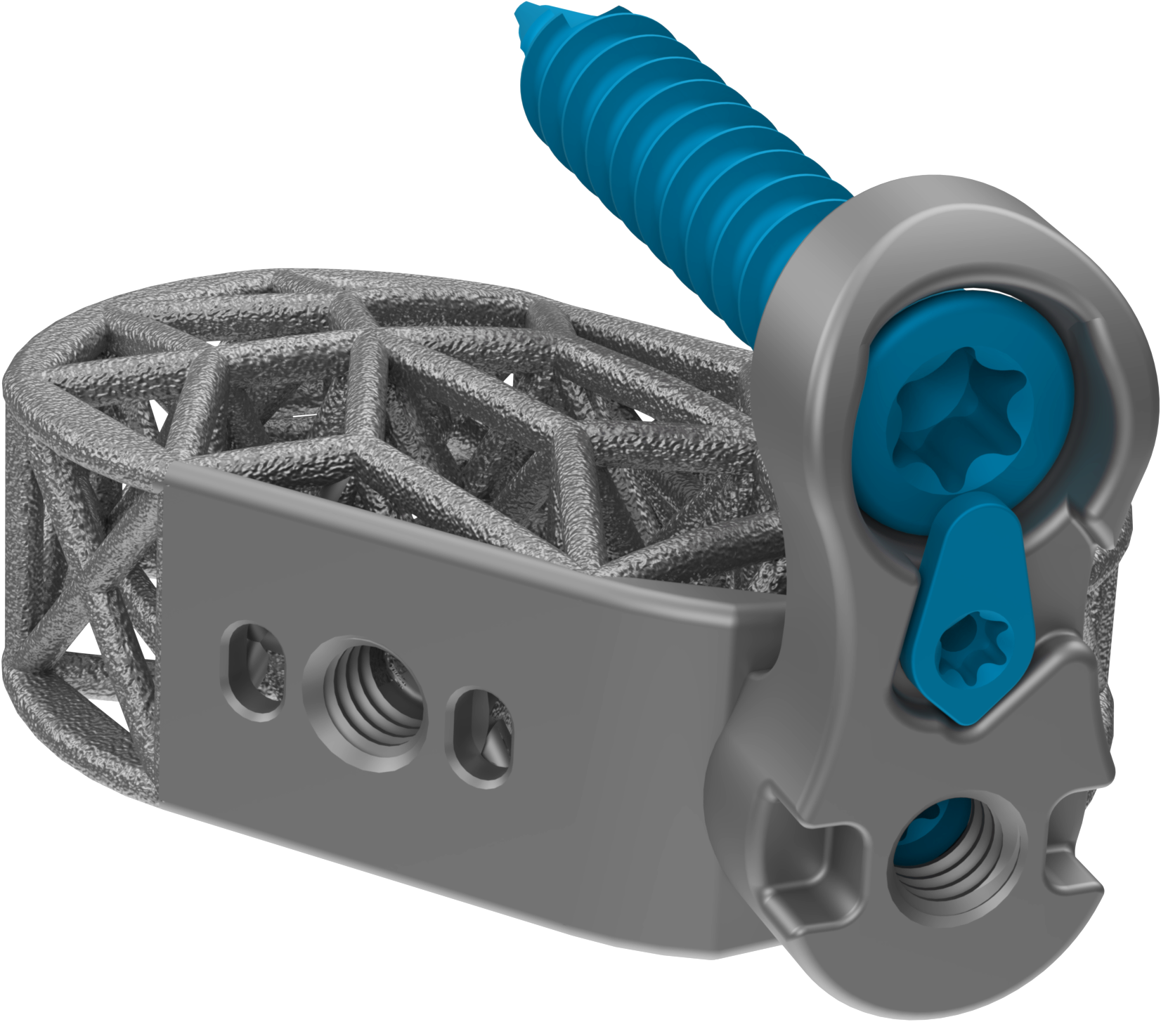 Lumbar Spine Plating Solution
