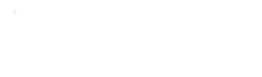 4WEB logo