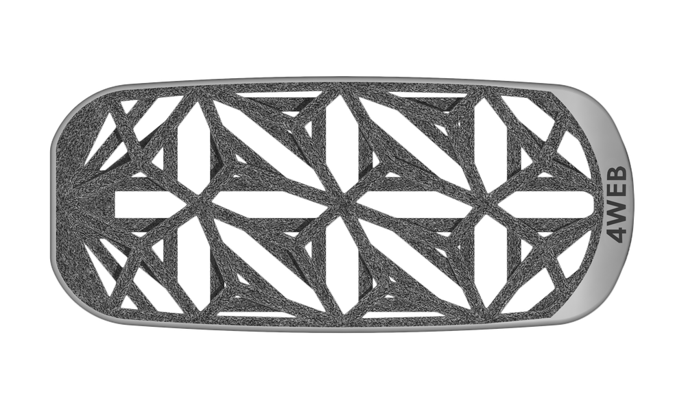 4WEB truss implant render