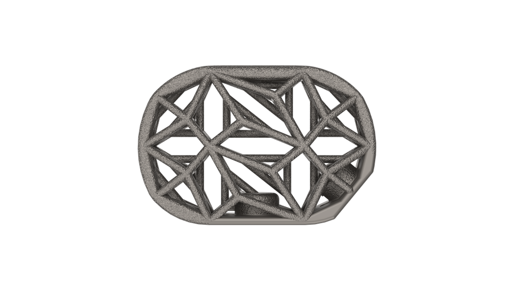 Anterior Spine Truss System top view