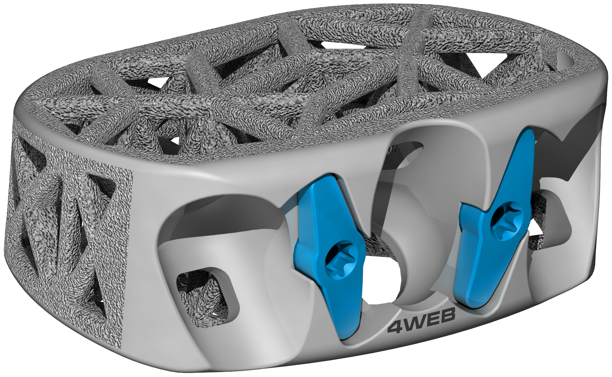 Anterior Spine Truss System – Stand Alone, anchor blocking plate and truss cage