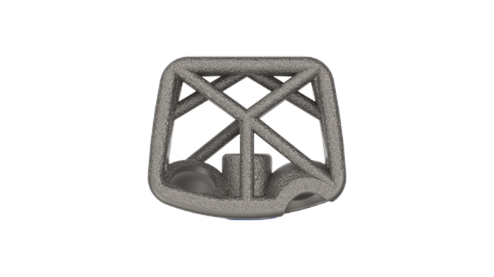 Snowshoe Interface, CSTS-SA implant face