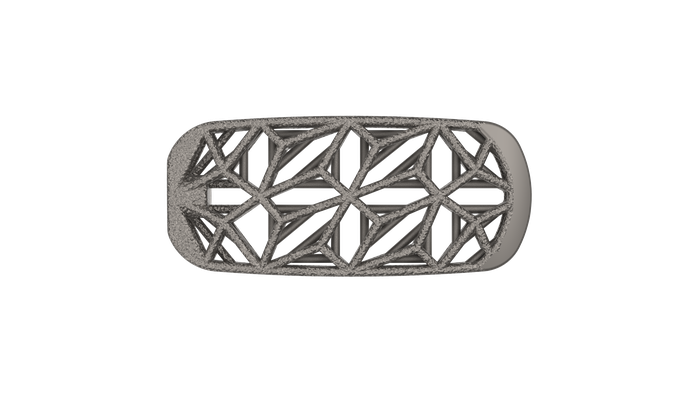 Snowshoe Interface, LSTS implant face