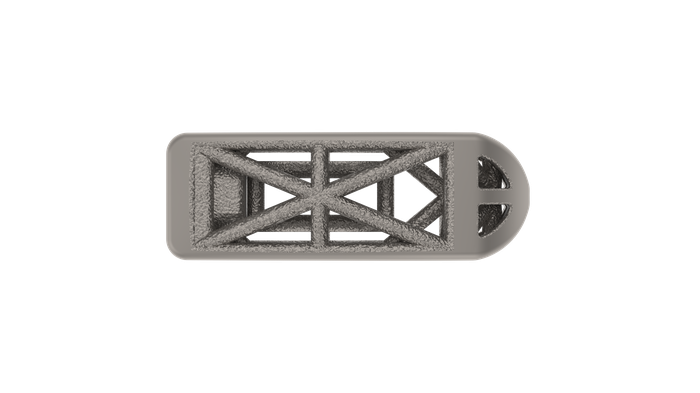 Snowshoe Interface, PSTS implant face