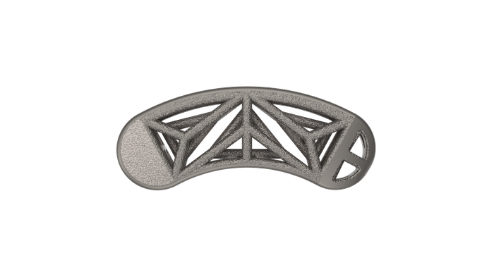 Snowshoe Interface, TSTS implant face