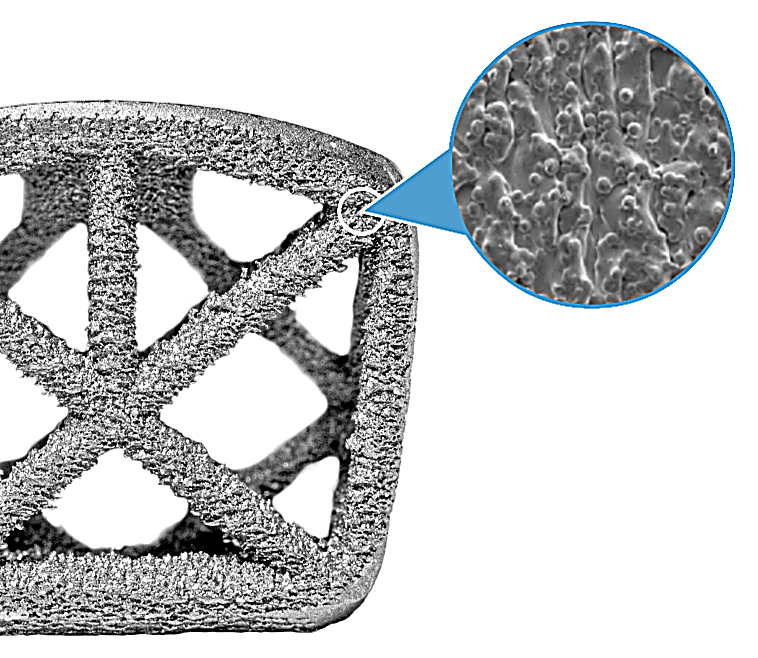 Truss implant surface at 50x magnification showing hierarchical surface roughness