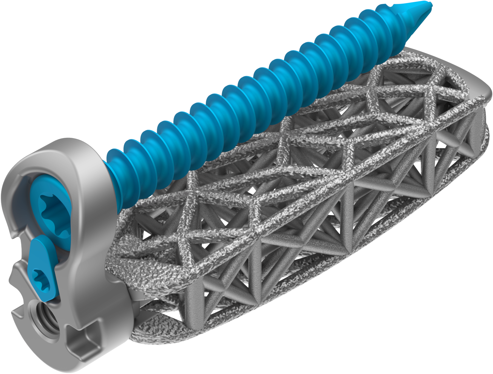 Lumbar Spine Plating Solution